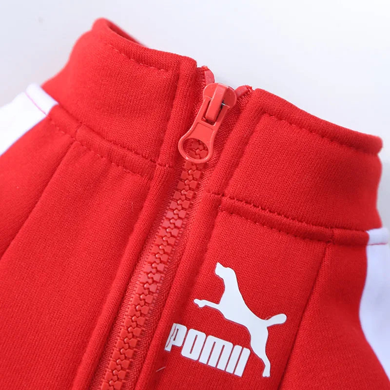 Pet Polyester Dog Jacket