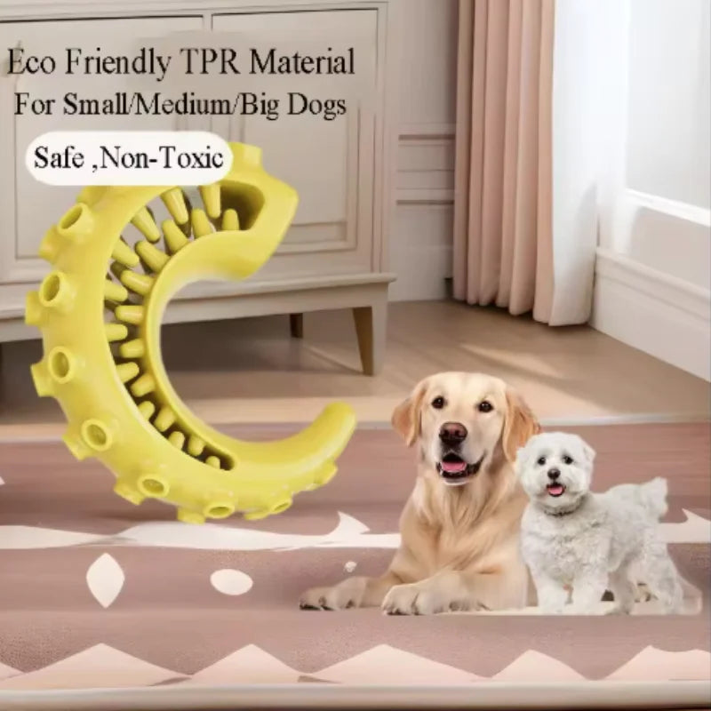TPR Dog Teething & Treat Toy
