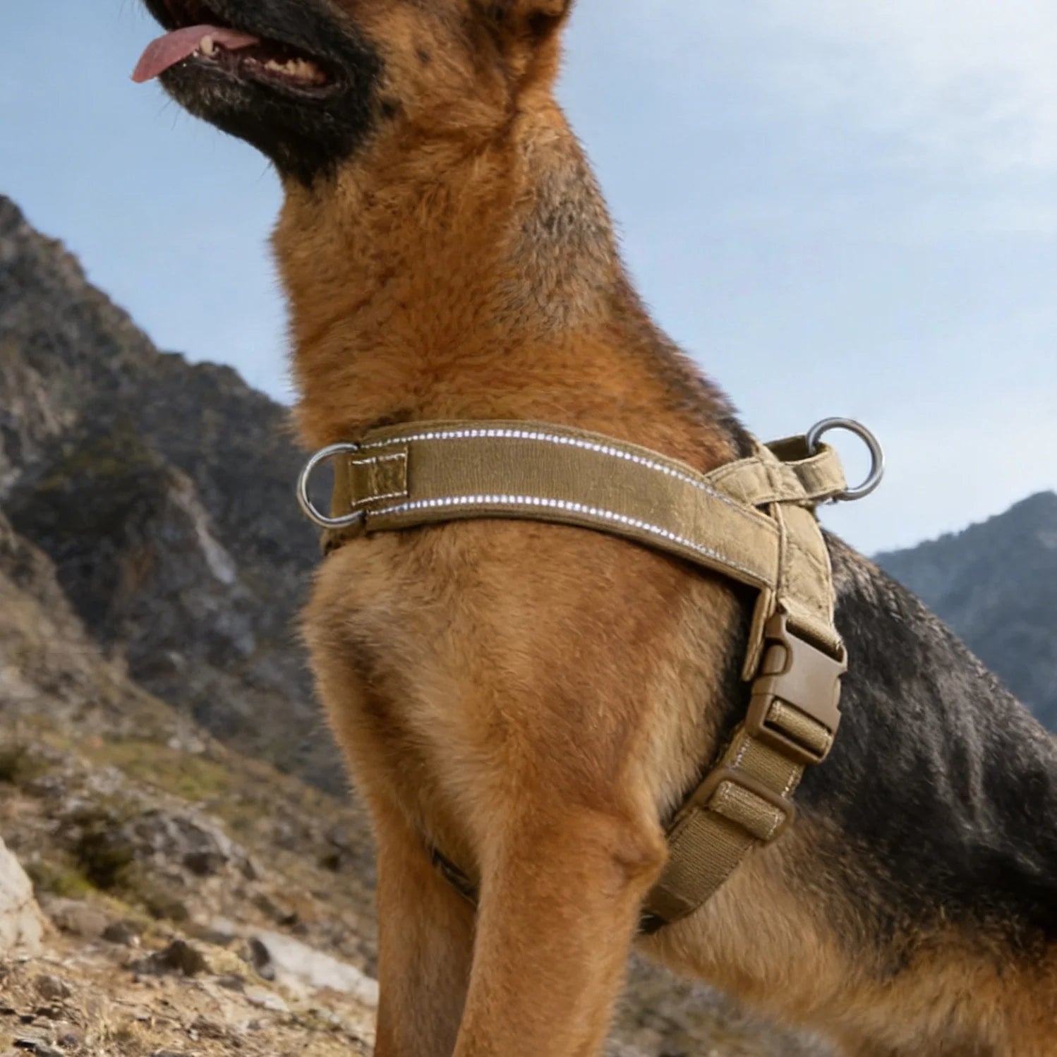 Adjustable Dog Harness
