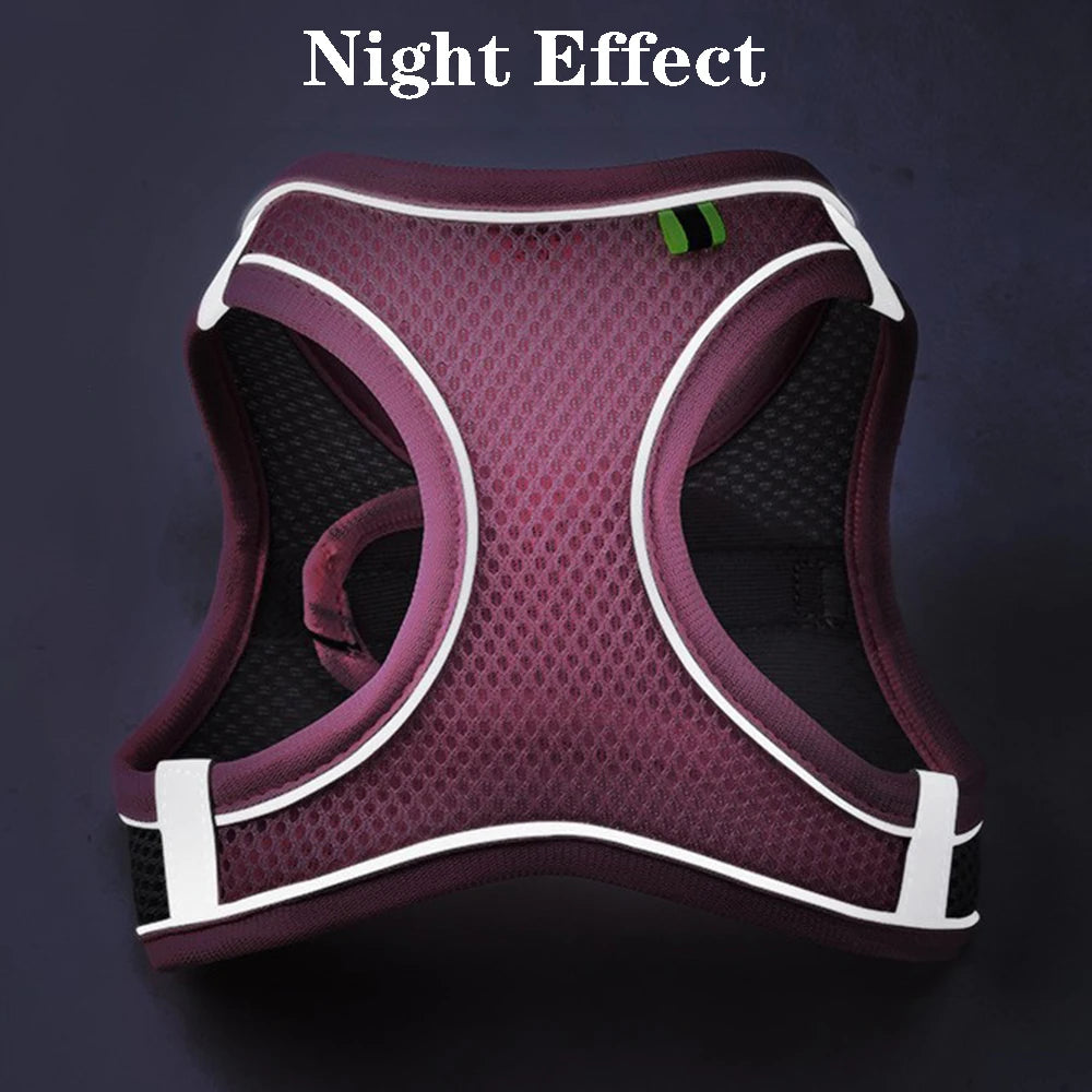 Reflective Mesh Pet Harness Set