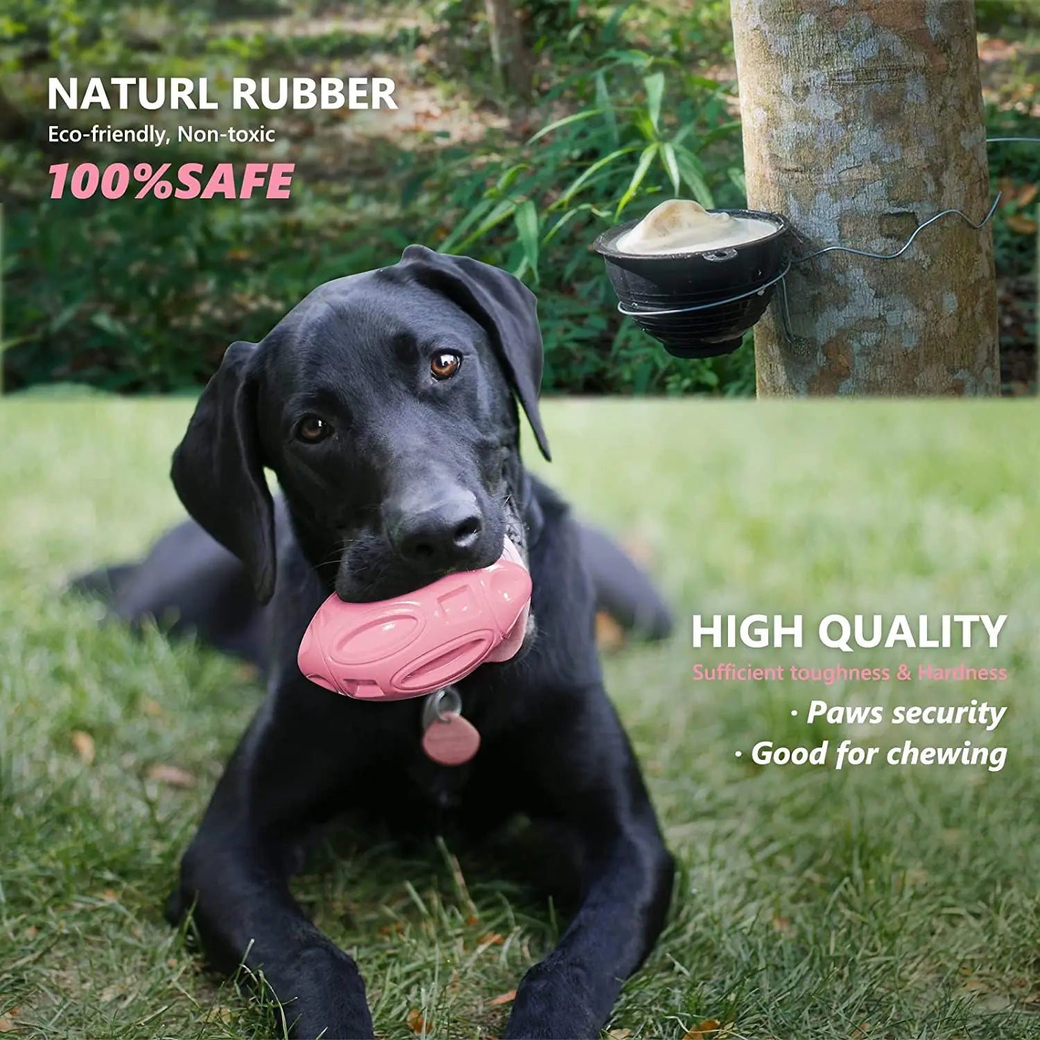 Durable Rubber Squeaky Dog Ball
