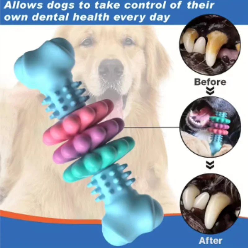 TPR Dog Teething & Treat Toy