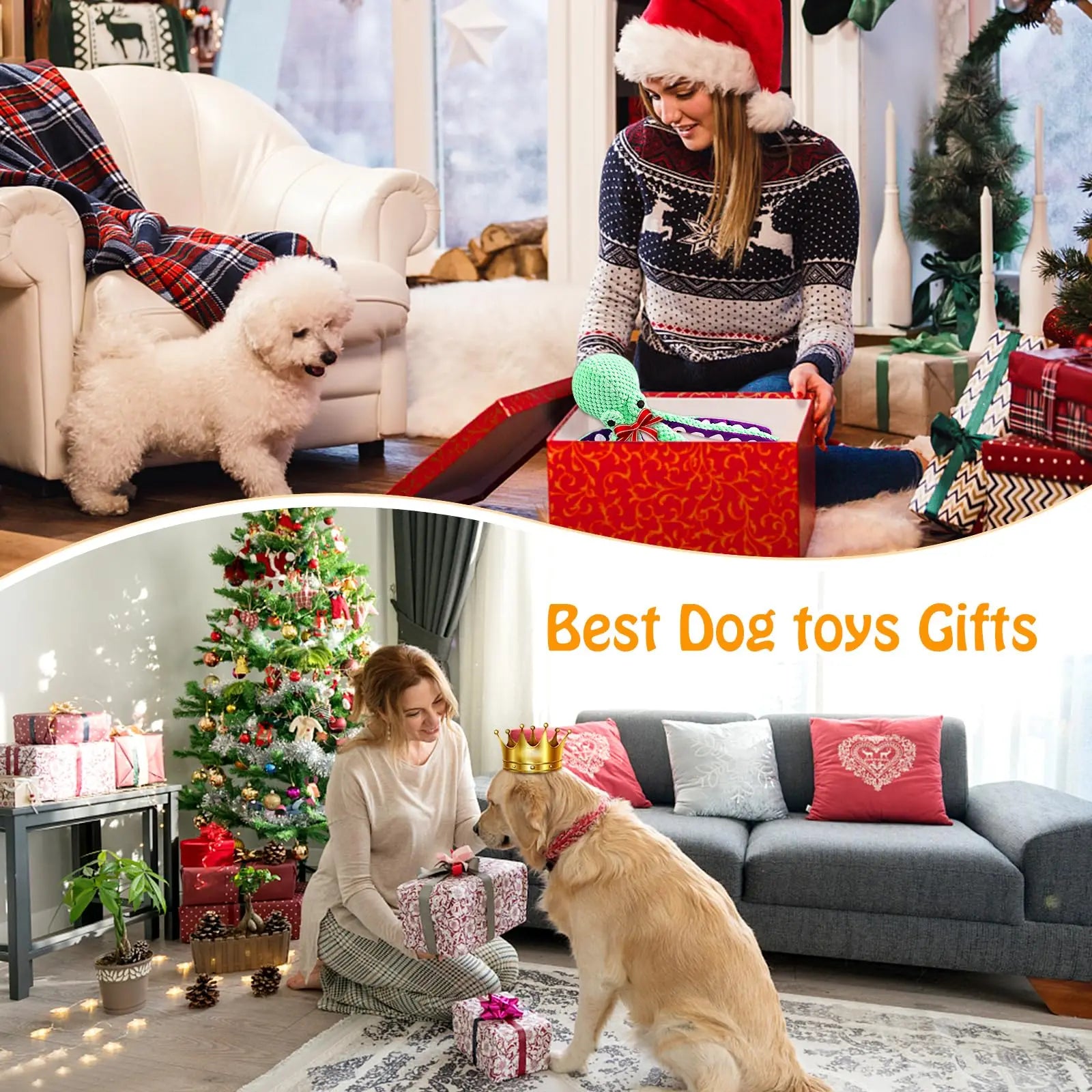 Plush Squeaky Dog Toy Set