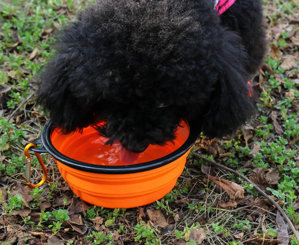 Collapsible Silicone Dog Bowl