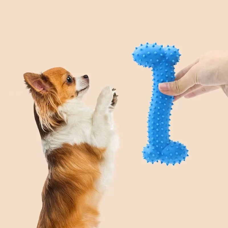 TPR Dog Teething & Treat Toy