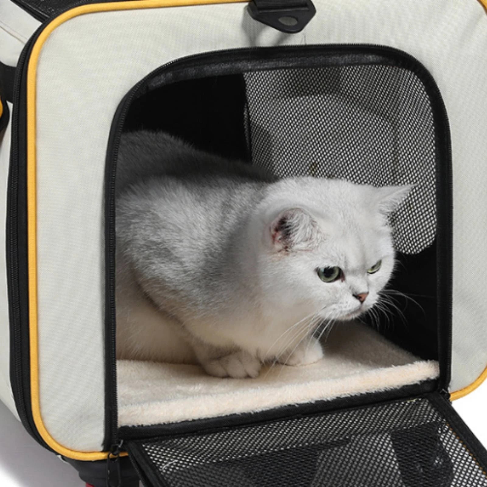 Collapsible Pet Trolley Carrier with Wheels