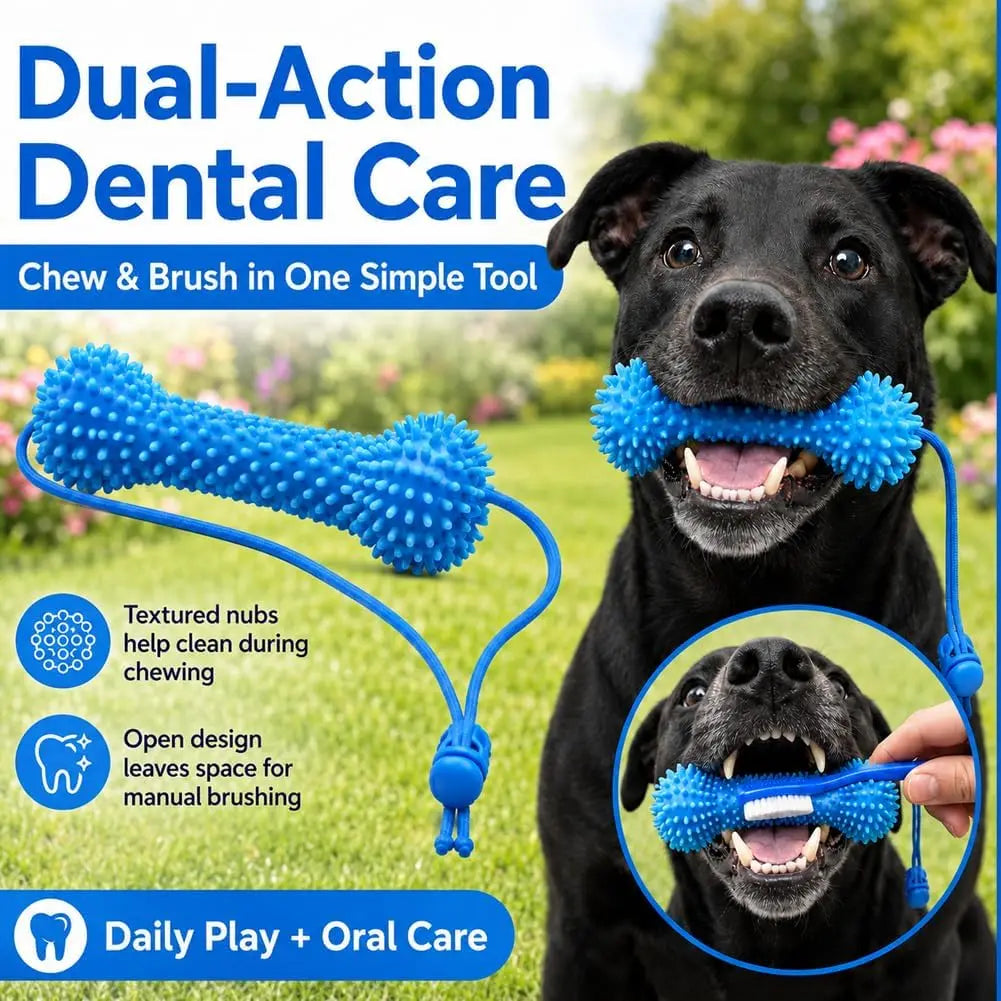 Rubber Dog Chew Toy