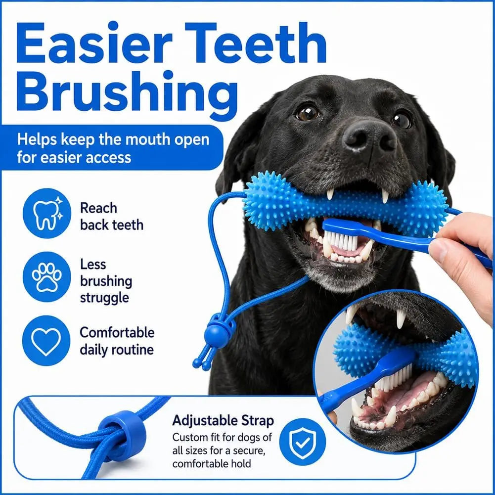 Rubber Dog Chew Toy