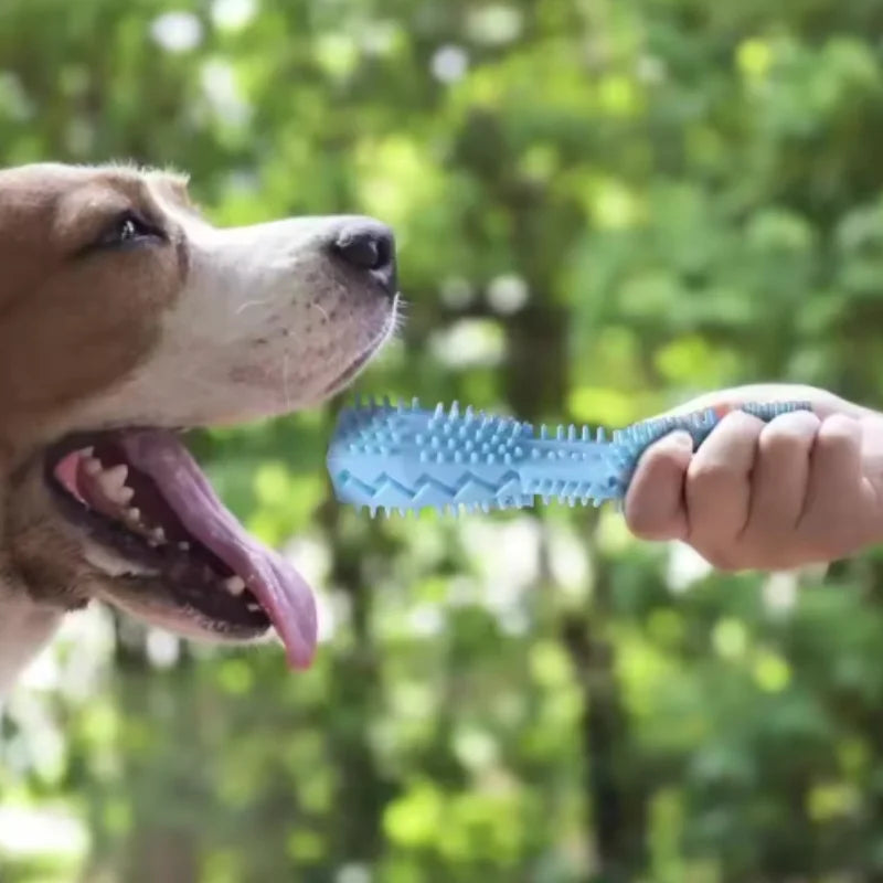 TPR Dog Teething & Treat Toy