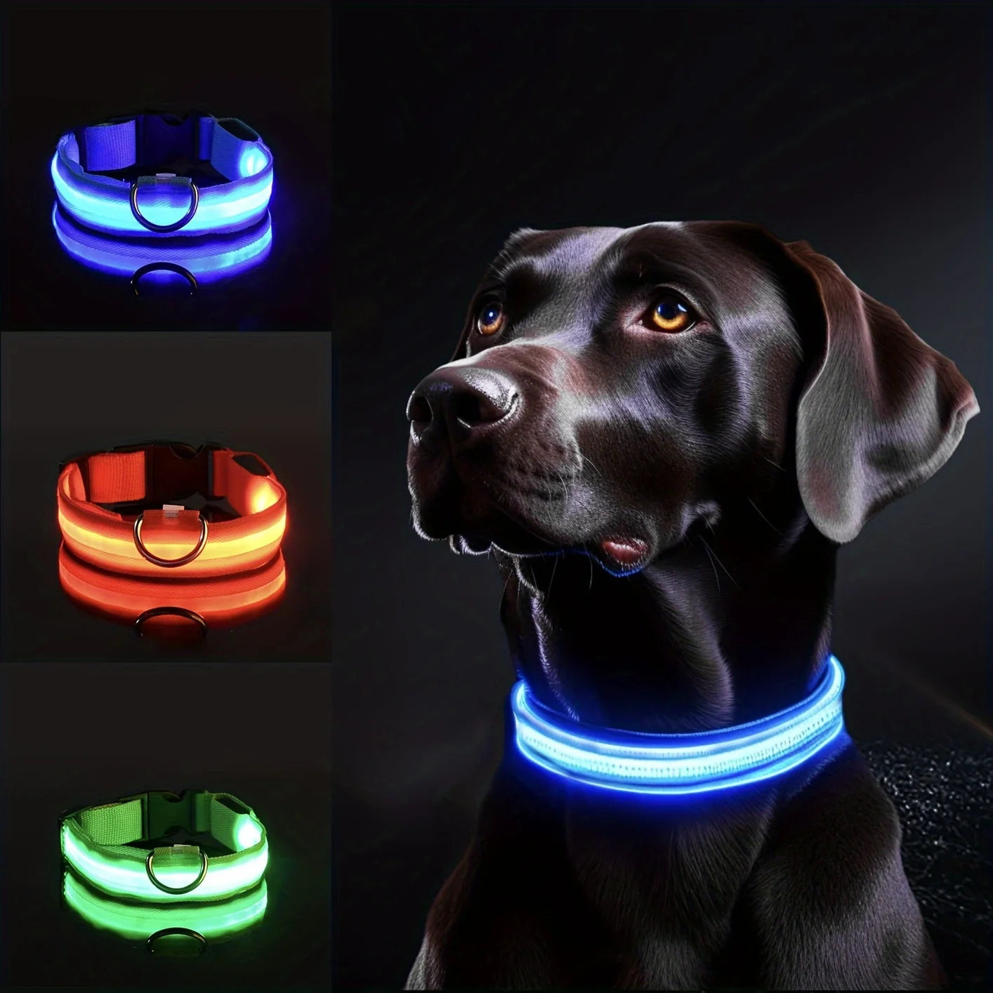 Reflective LED Dog Collar for Night Safety - Durable