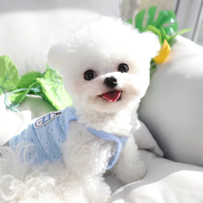 Lightweight Summer Dog Vest