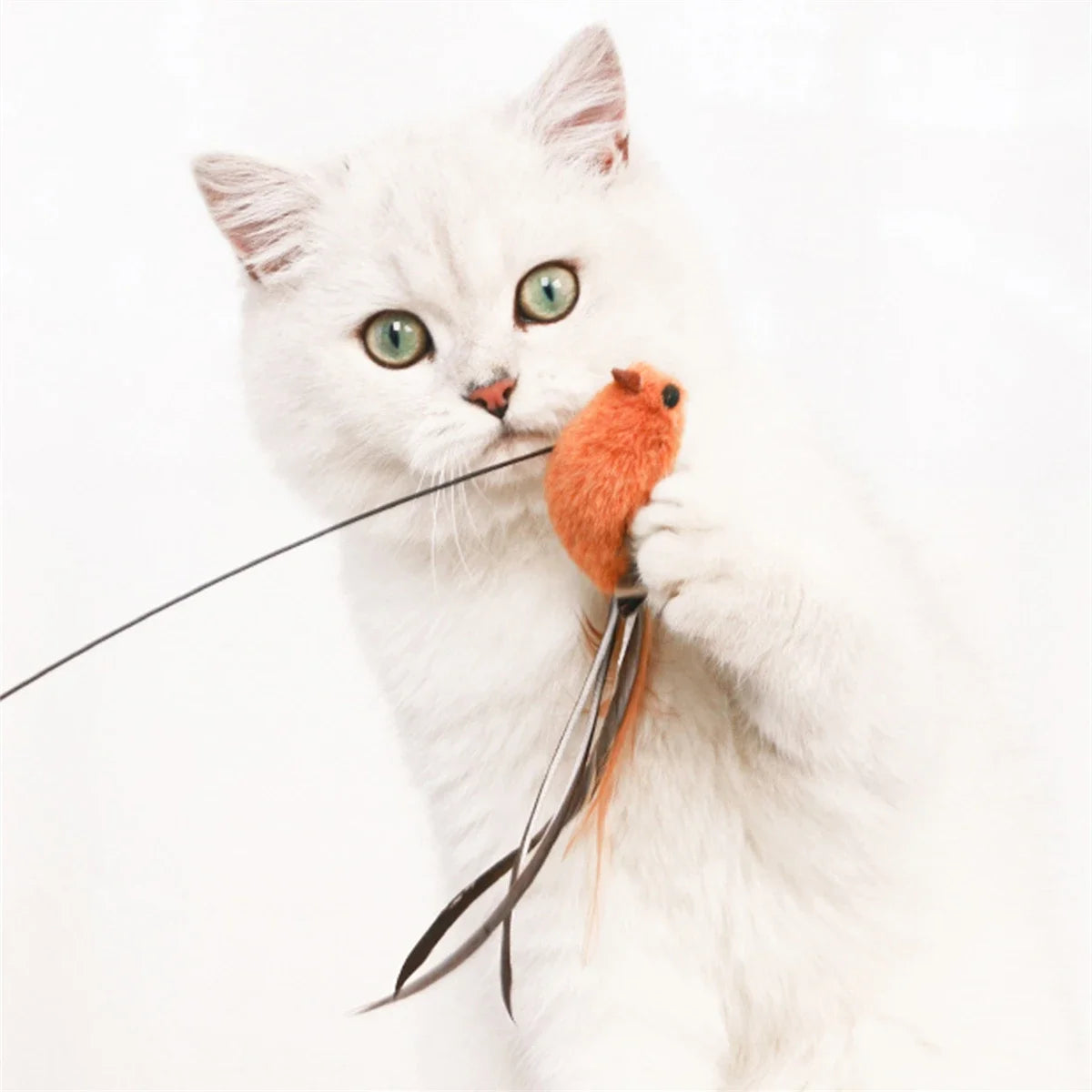 Interactive Feather Bird Cat Toy with Suction Cup