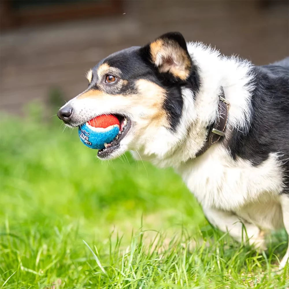 Rubber Squeaky Dog Ball