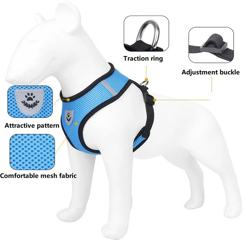 Escape-Proof Reflective Cat Harness & Leash Set