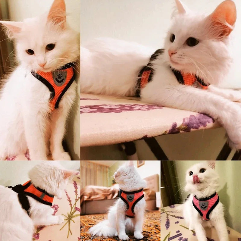 Reflective Soft Pet Harness