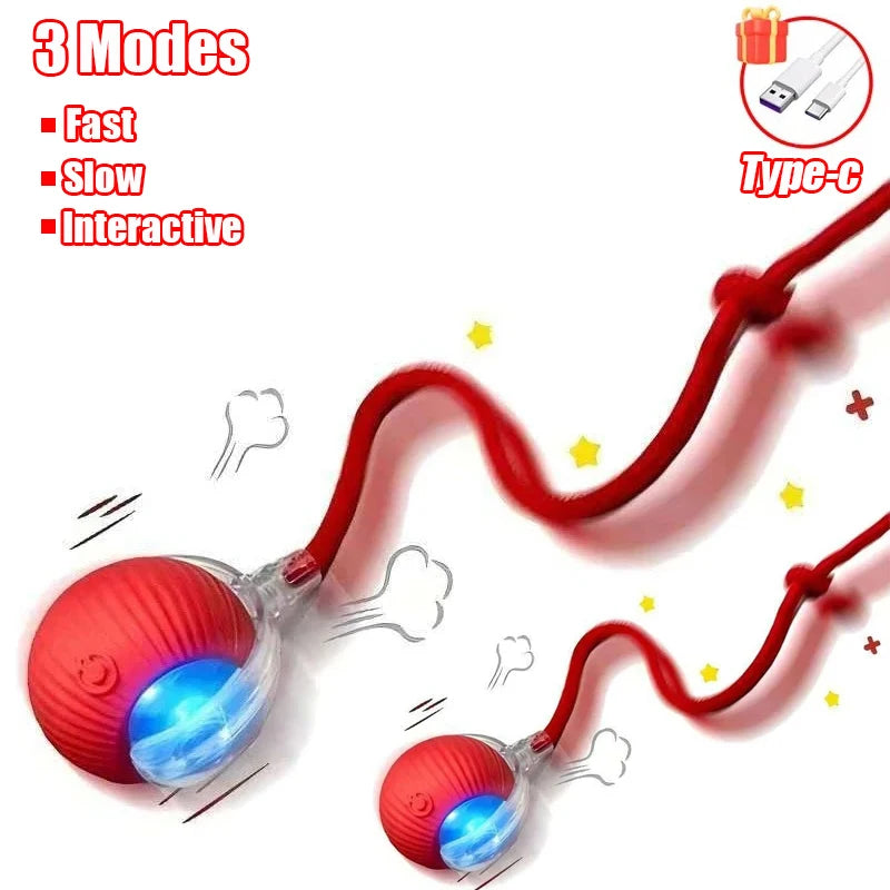 Automatic Interactive Cat Ball Toy | Rechargeable