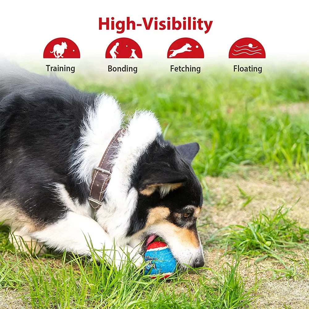 Rubber Squeaky Dog Ball