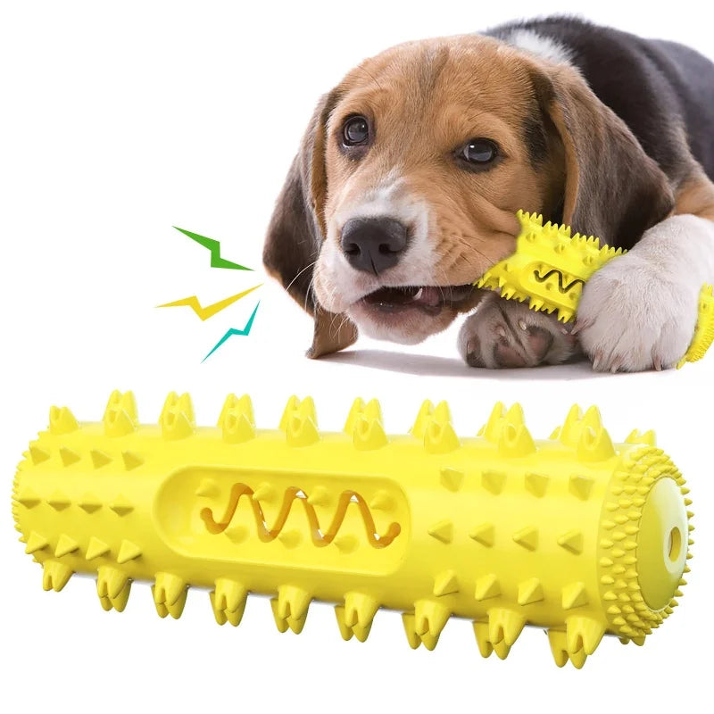 TPR Dog Teething & Treat Toy