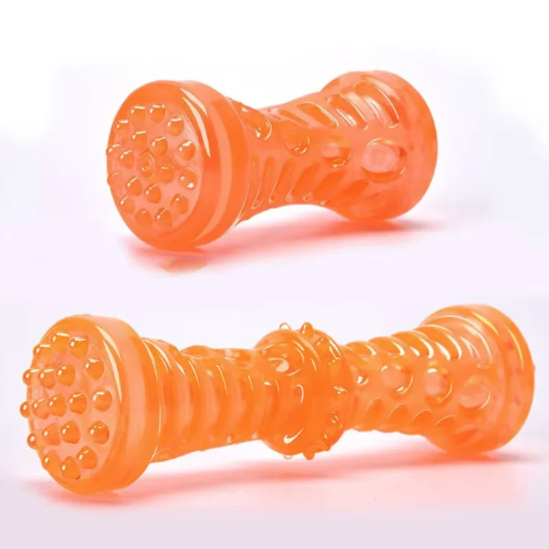 TPR Dog Teething & Treat Toy