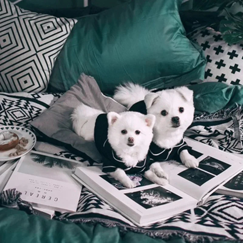 Solid Polyester Pet Clothes