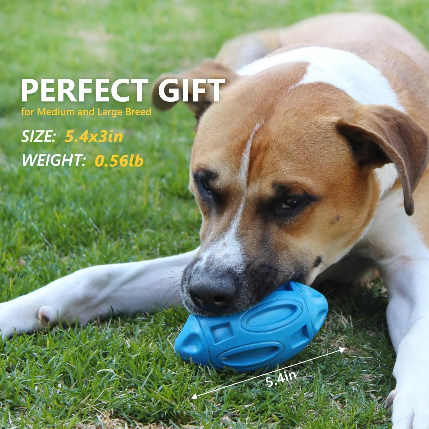 Durable Rubber Squeaky Dog Ball