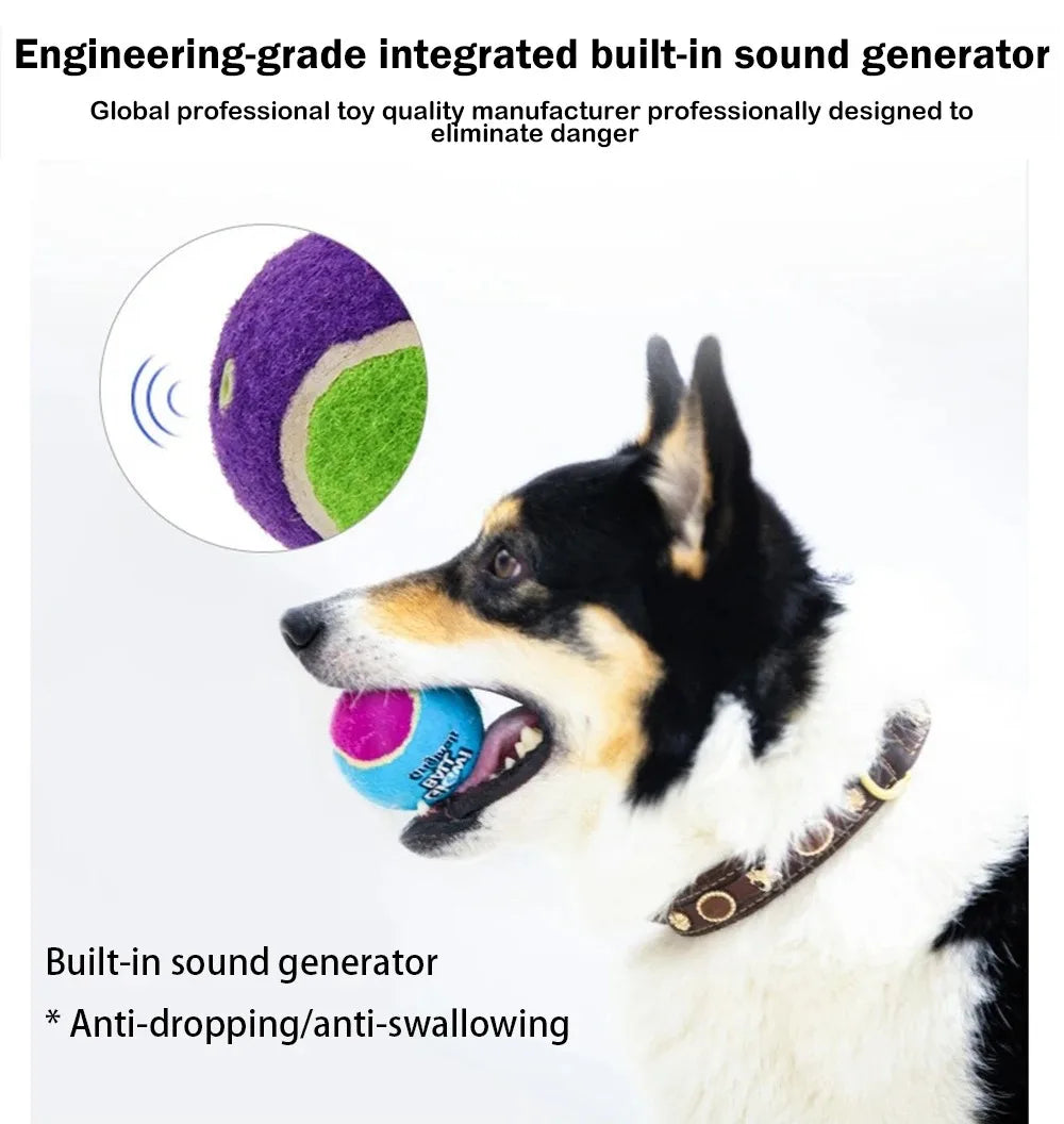 Rubber Squeaky Dog Ball