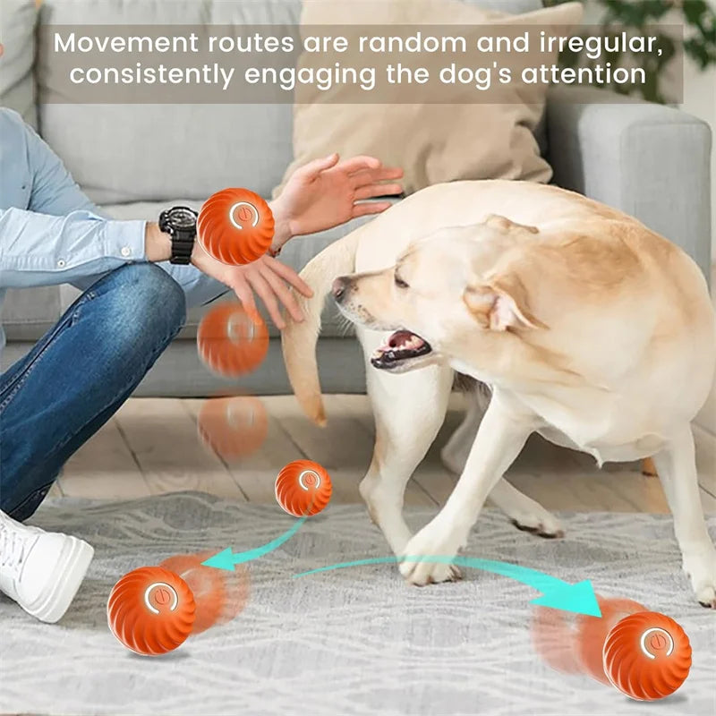 Interactive Automatic Dog Jump Ball