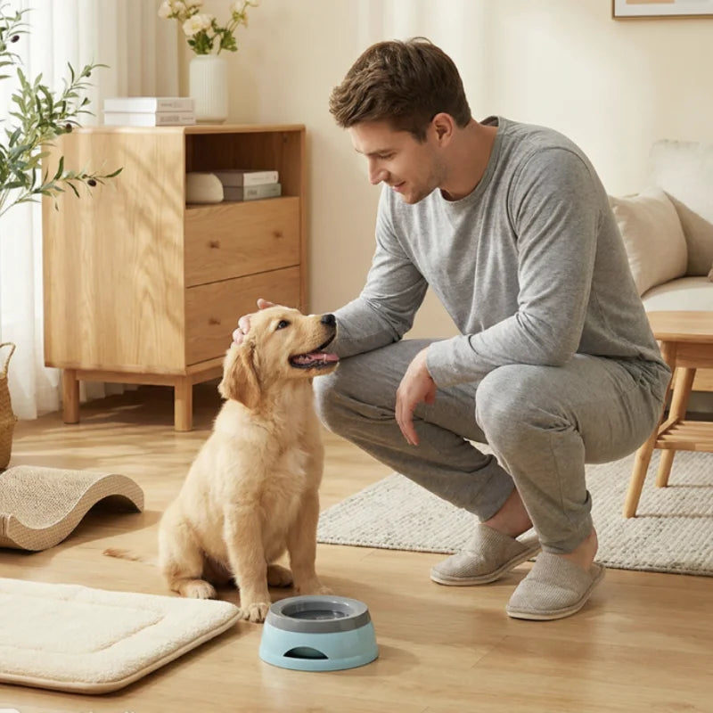 Anti-Splash Dog & Cat Drinking Bowl