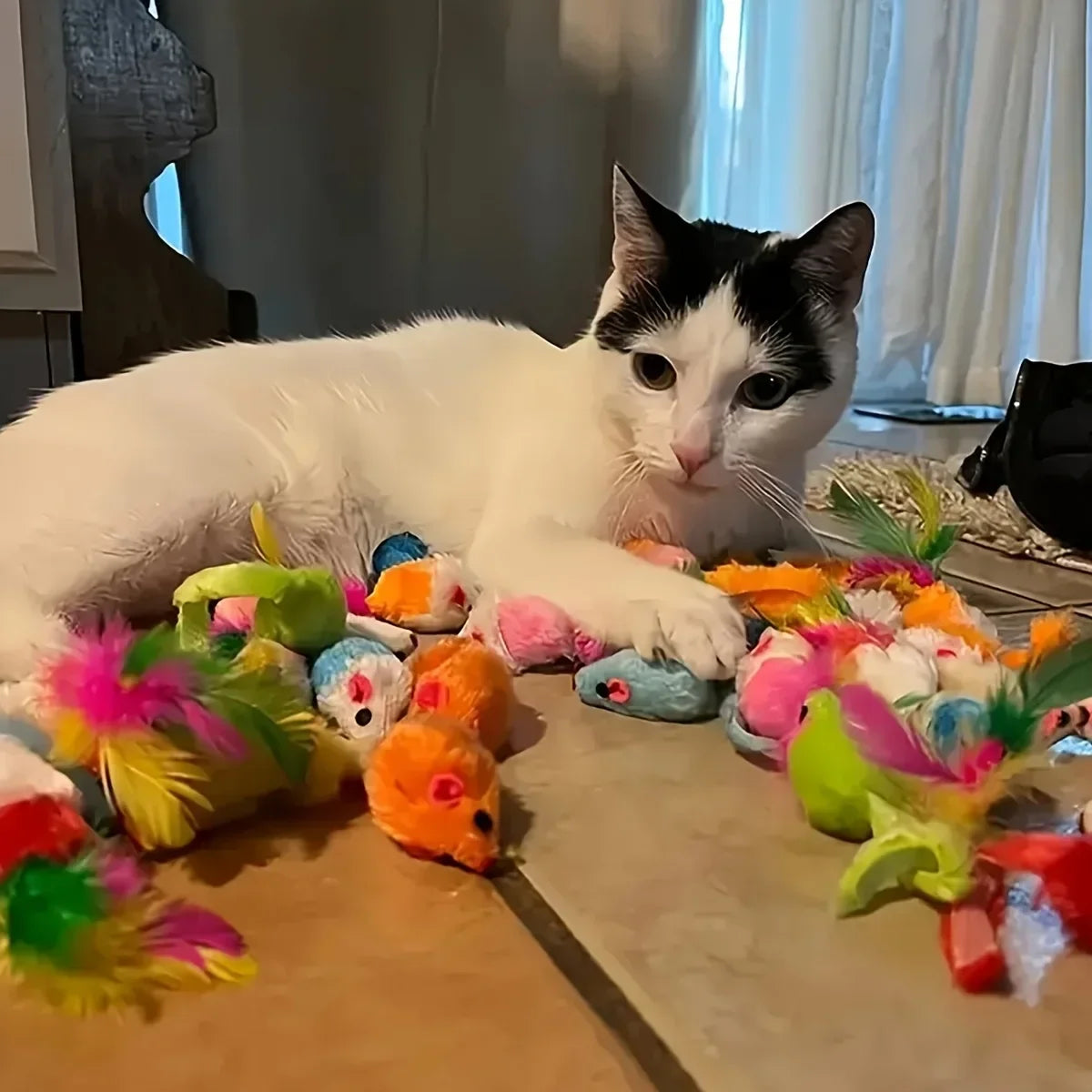 Interactive Spring Cat Toy Set