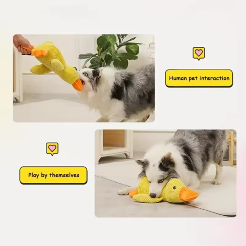 Plush Animal Dog Toy