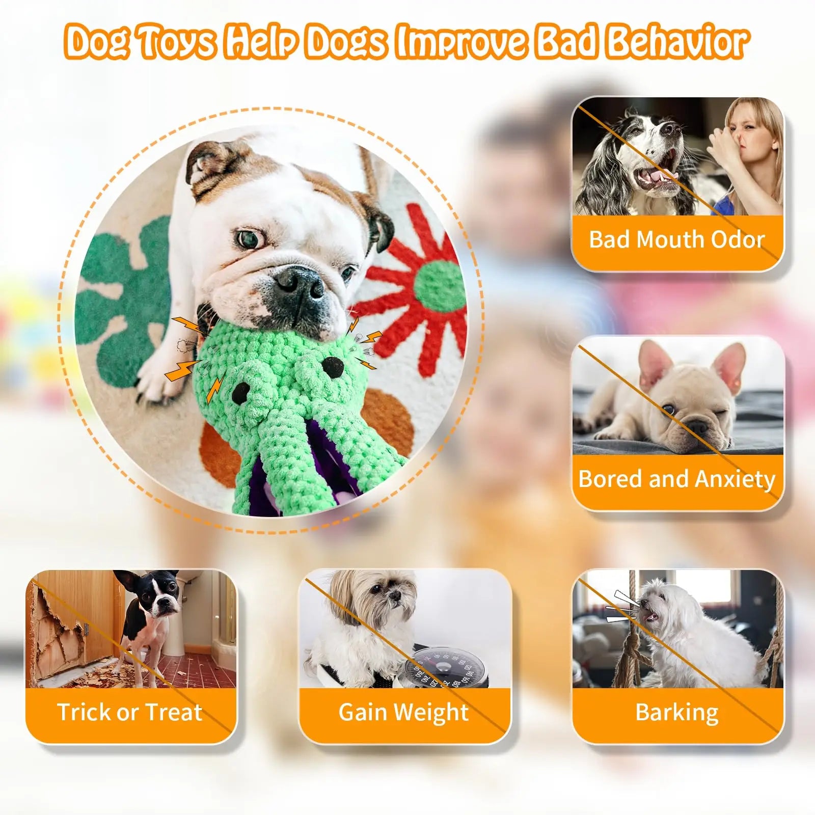 Plush Squeaky Dog Toy Set